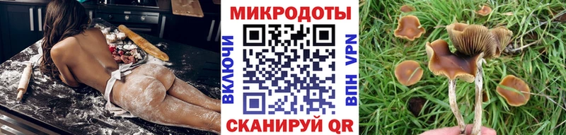 кракен   хочу   Елабуга  Псилоцибиновые грибы Magic Shrooms 