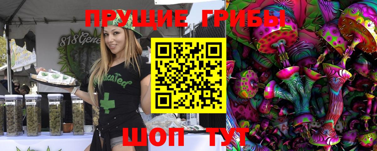 Псилоцибиновые грибы GOLDEN TEACHER Елабуга